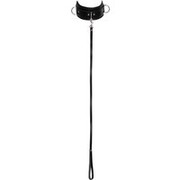 Leder Halsfessel u. Leine